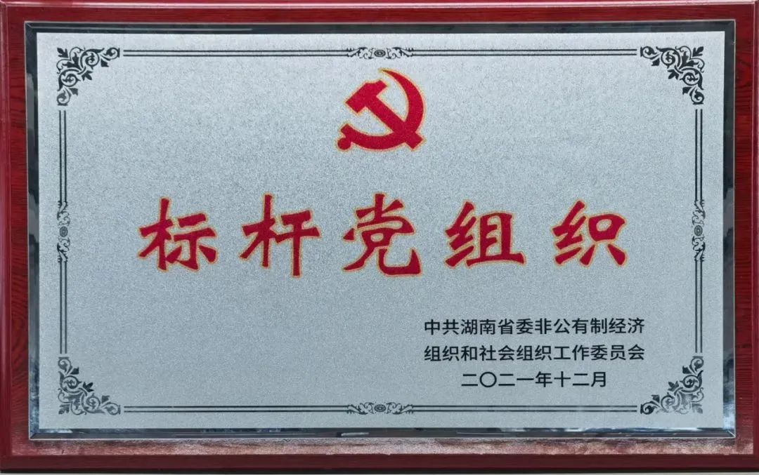 黨建品牌亮起來！山河智能黨委獲評“標桿黨組織”