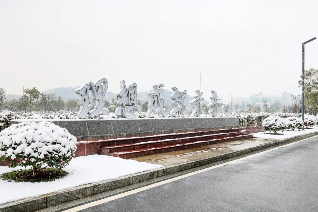 瑞雪兆豐年，邀您共賞雪中山河！