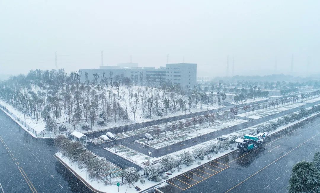 瑞雪兆豐年，邀您共賞雪中山河！
